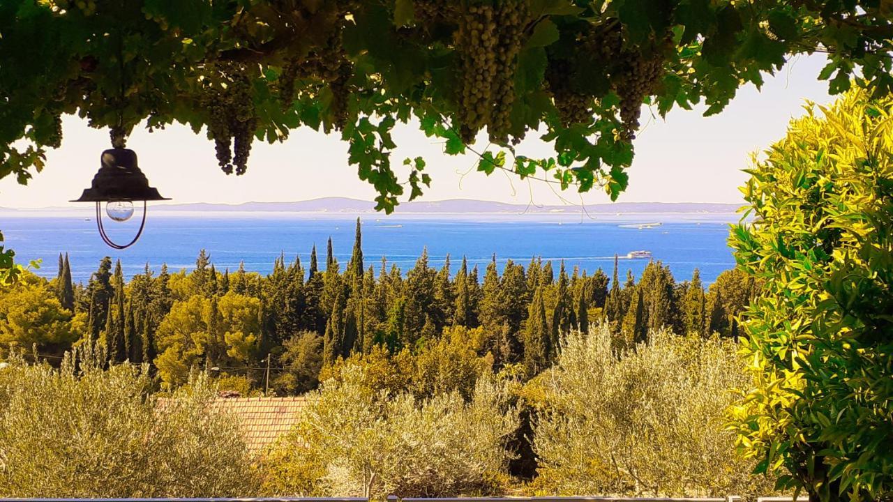 Mediterranean House - Forest Marjan 스플리트 외부 사진